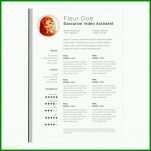 Erstaunlich Lebenslauf Vorlage Pages 950x950