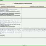 Faszinierend Pflegeplanung Vorlage Word 960x749