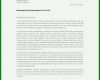 Bestbewertet Lebenslauf Vorlage Pages 736x1040