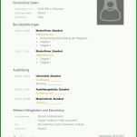 Toll Lebenslauf Vorlage Word 2007 1653x2339