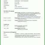 Fabelhaft Vollmacht Auskunft Vorlage 736x1050