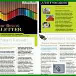 Überraschen Newsletter Vorlage Indesign 781x500