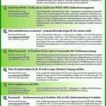Phänomenal Prozessaudit Vorlage 960x1358