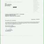 Spezialisiert Strom Kündigen Vorlage Pdf 2488x3504
