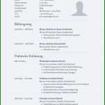 Neue Version Lebenslauf Din 5008 Vorlage Word Download 1000x1414