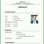 Ausnahmsweise Lebenslauf Vorlage Docx 753x789