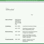 Fantastisch Lebenslauf Openoffice Vorlage 821x770