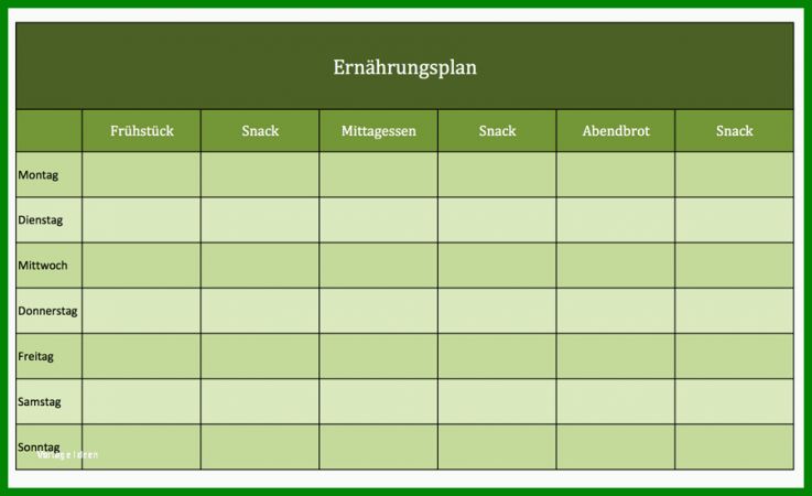 Schockierend Ernährungsplan Erstellen Vorlage 900x549