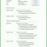 Wunderbar Lebenslauf Textform Vorlage 1000x1414