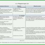 Kreativ Pflegeplanung Vorlage Word 1000x708