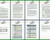 Staffelung Businessplan Vorlage Pdf Kostenlos 1302x451