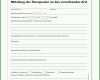 Faszinierend therapiebericht Vorlage 1910x2598