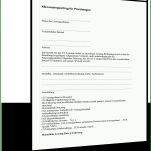Faszinieren übernahme Leasingvertrag Vorlage 1534x1735
