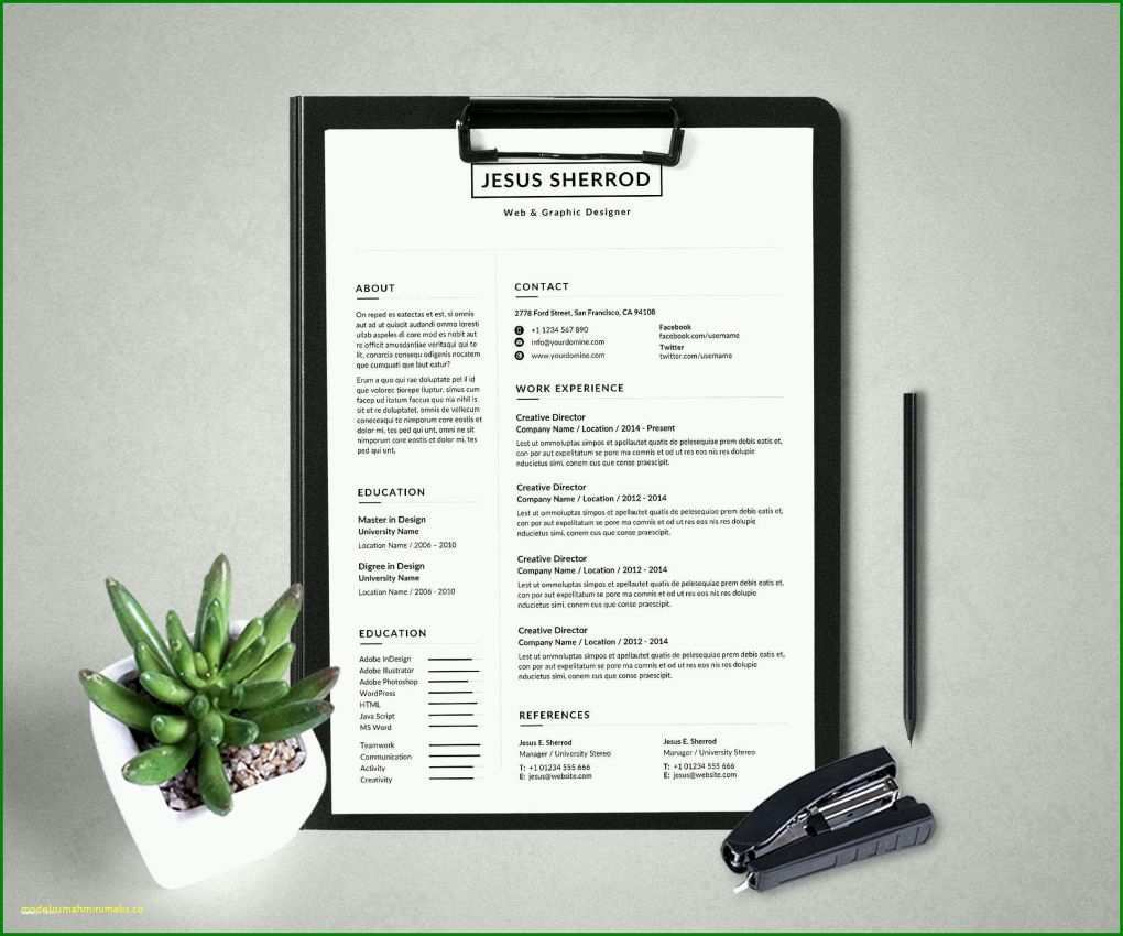 Einzahl Publisher Flyer Vorlage 2156x1796