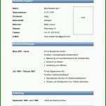Angepasst Lebenslauf Vorlage Word Dokument 992x1402