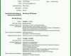 Einzahl Cv Englisch Vorlage 768x1087