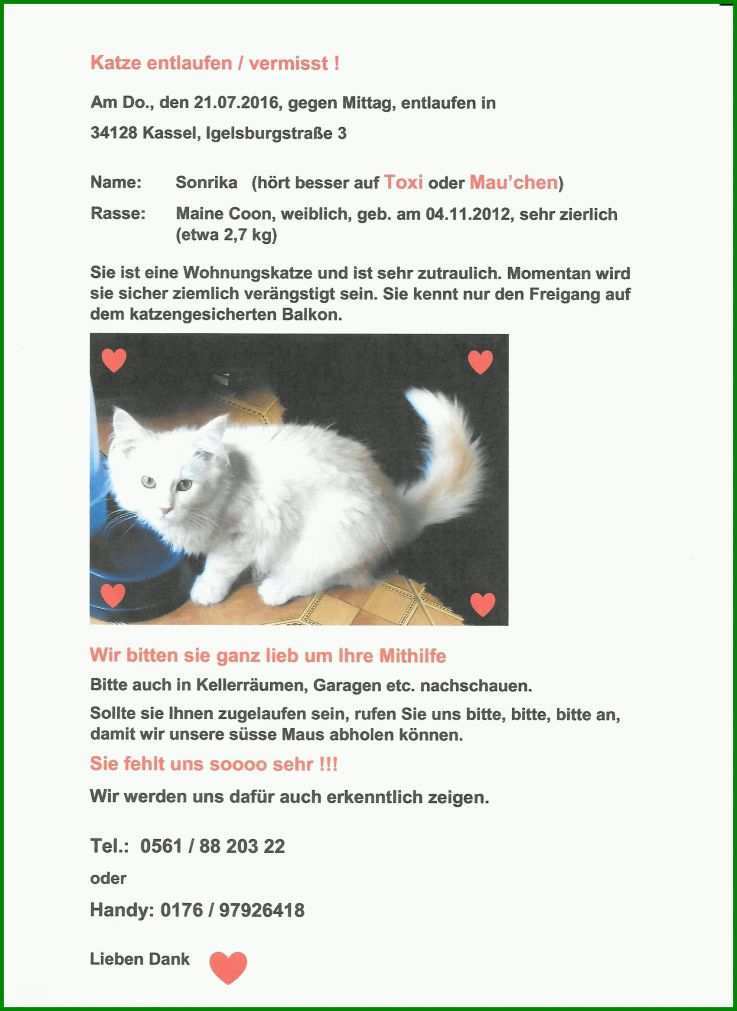 Bestbewertet Vermisstenanzeige Katze Vorlage 1700x2333