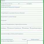 Limitierte Auflage therapiebericht Vorlage 800x1104