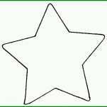 Singular Vorlage Stern 768x744