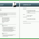Spezialisiert Lebenslauf 2018 Vorlage Word 1024x723