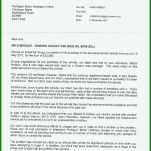 Fabelhaft Pages Lebenslauf Vorlage 992x1403