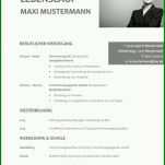 Beste Vorlage Tabellarischer Lebenslauf 800x1132