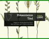 Ausnahmsweise Verkaufspräsentation Vorlage 796x450