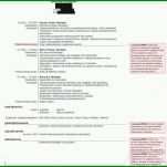 Beeindruckend Einfacher Lebenslauf Vorlage Kostenlos 872x794