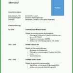 Einzigartig Cv Vorlage Kostenlos 743x1024