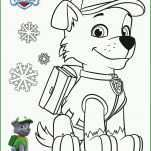 Singular Paw Patrol Vorlage 2489x3532