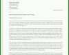 Schockierend Vorlage Lebenslauf Und Anschreiben 992x1403
