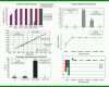 Hervorragend Bewerbermanagement Excel Vorlage Kostenlos 780x600
