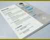 Wunderbar Indesign Vorlage Lebenslauf Kostenlos 718x494
