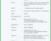 Am Beliebtesten Lebenslauf Vorlage Word Ohne Foto 858x1295