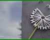 Kreativ Pusteblume Vorlage 750x500