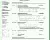 Einzahl Cv Englisch Vorlage 950x1343