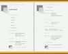 Original Indesign Vorlage Lebenslauf Kostenlos 1034x743