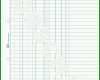 Toll Kassenbuch Vorlage Word 724x1024