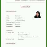 Einzahl Lebenslauf Vorlage Schülerpraktikum 722x822