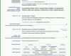 Am Beliebtesten Cv Englisch Vorlage 1239x1754