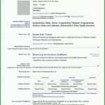 Am Beliebtesten Cv Englisch Vorlage 1239x1754